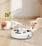 Interactive Cat Toy