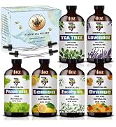 Essential Oil Set - Six Bottles (4 oz/120 ml) of Lavender, Peppermint, Lemon, Sweet Orange, Tea T...