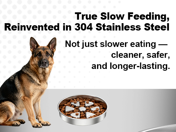 304 stainless steel slow feed bowl