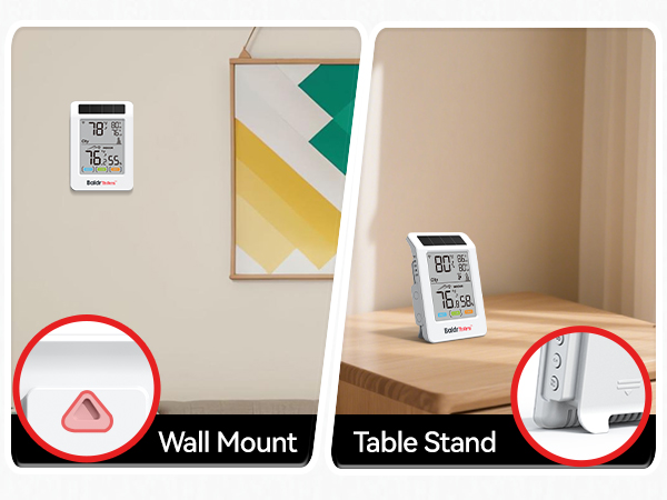 2 Mounting Options