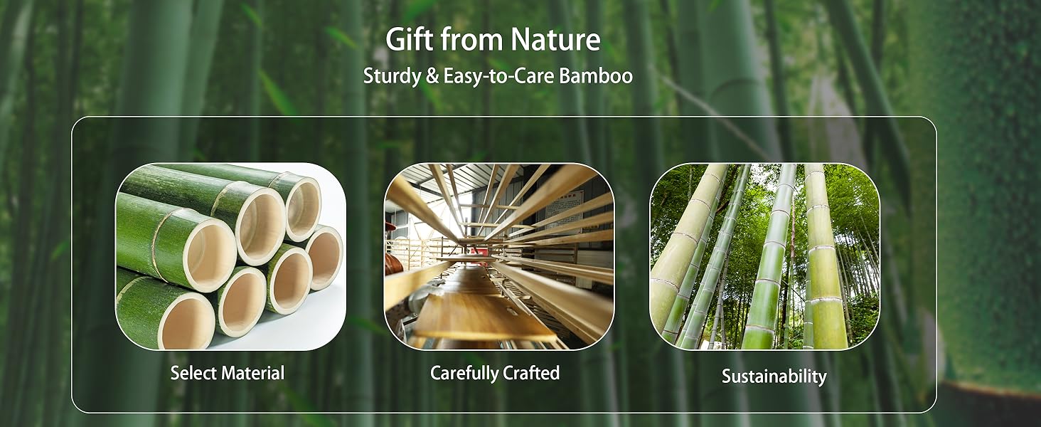 bamboo