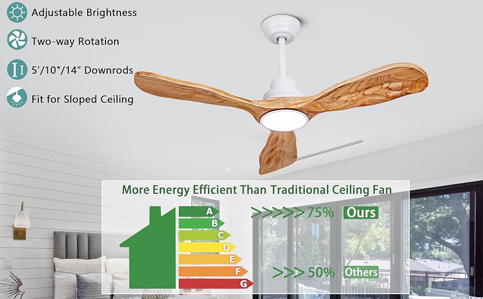 ceiling fans