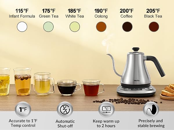 Electric Kettle with Temperature Control