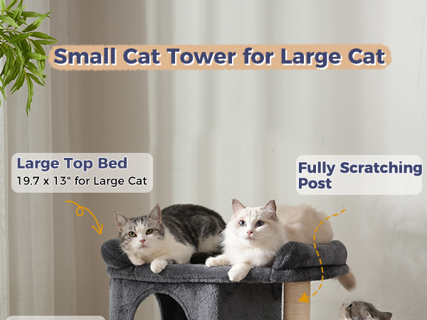 cat tree