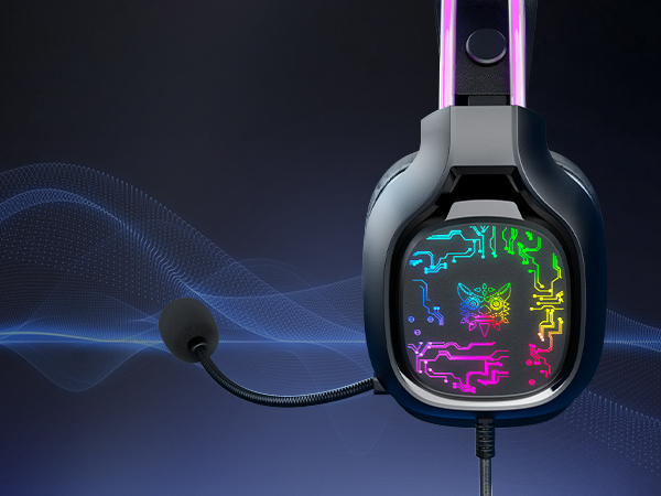 Adjustable microphone