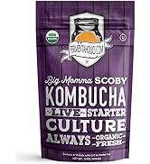 Fermentaholics BIG MOMMA Kombucha SCOBY With Twelve Ounces of Starter Tea - Live Kombucha Starter...