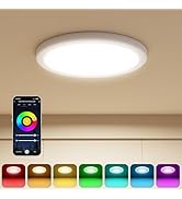 DeckTok 12 Inch Smart Ceiling Light, 2400LM RGBCW LED Flush Mount Ceiling Light Work with App & V...