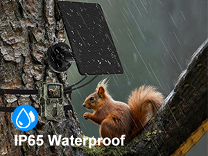 Trail Camera Solar Panel
