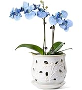 LE TAUCI Ceramic Orchid Pot, 6.5 Inch Orchid Planter with Holes for Repotting, Indoor Flower Plan...