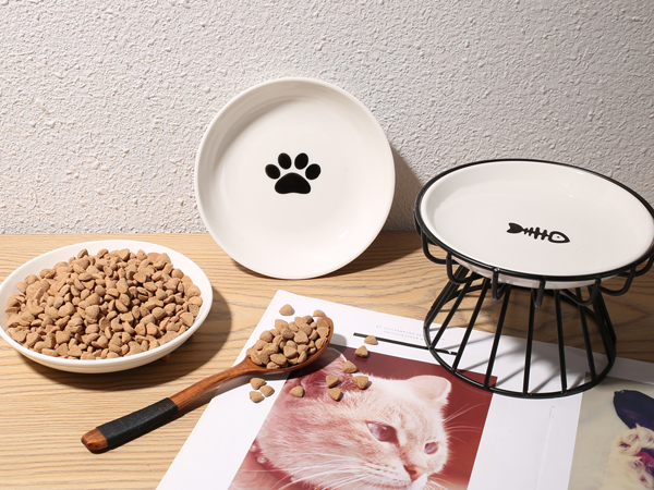 cat food bowl