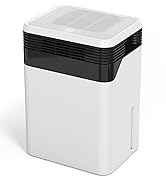 Dehumidifier for Home
