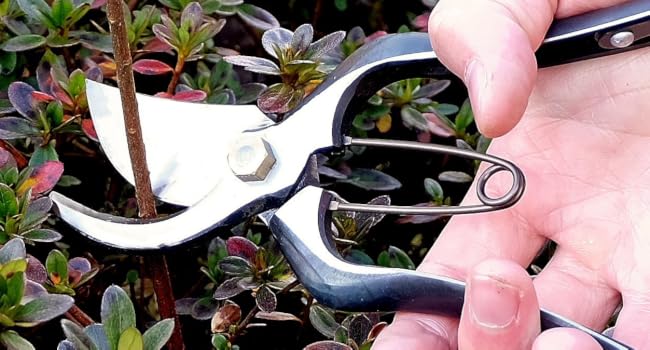 Japanese pruning shears garden scissors