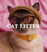 tofu cat litter