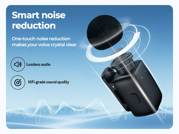 Noise-Canceling Mini Microphone