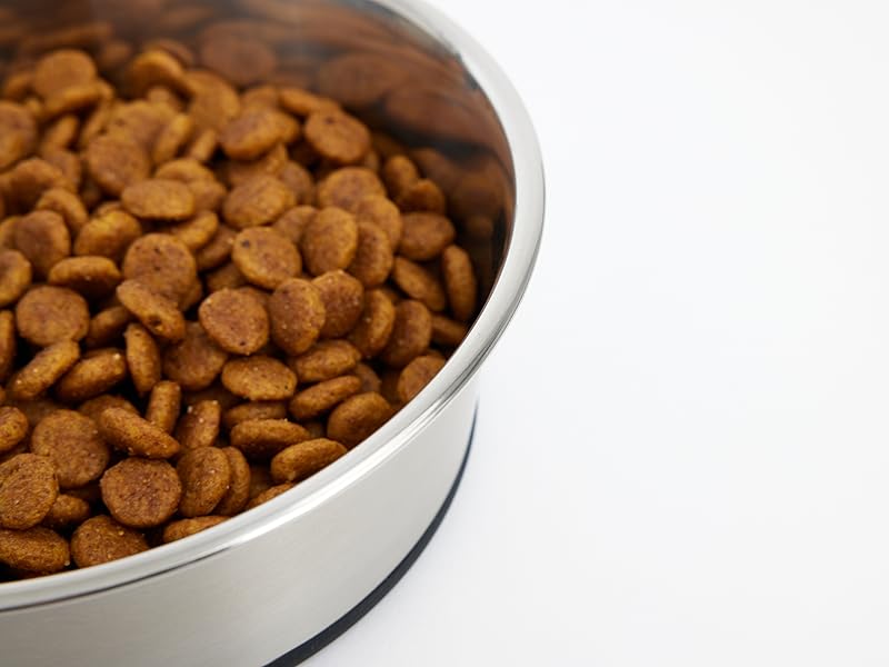 Dog bowls, dog water bowl, cat bowls