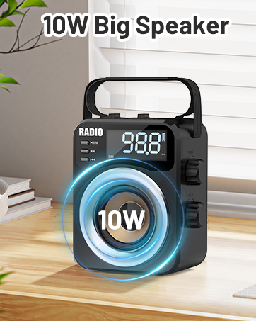 Portable Radio