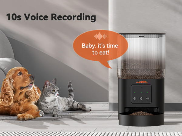 automatic cat feeder