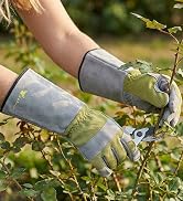 Woman gloves