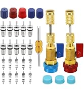 YSFER 31PCS R134A Valve Core Quick Remover Installer Tool Set, AC High Low Pressure Valve Core Re...