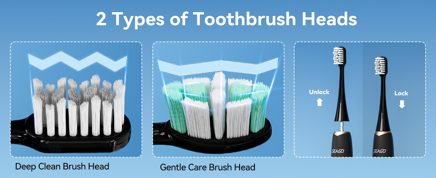 2 Types of Toothbrush Heads