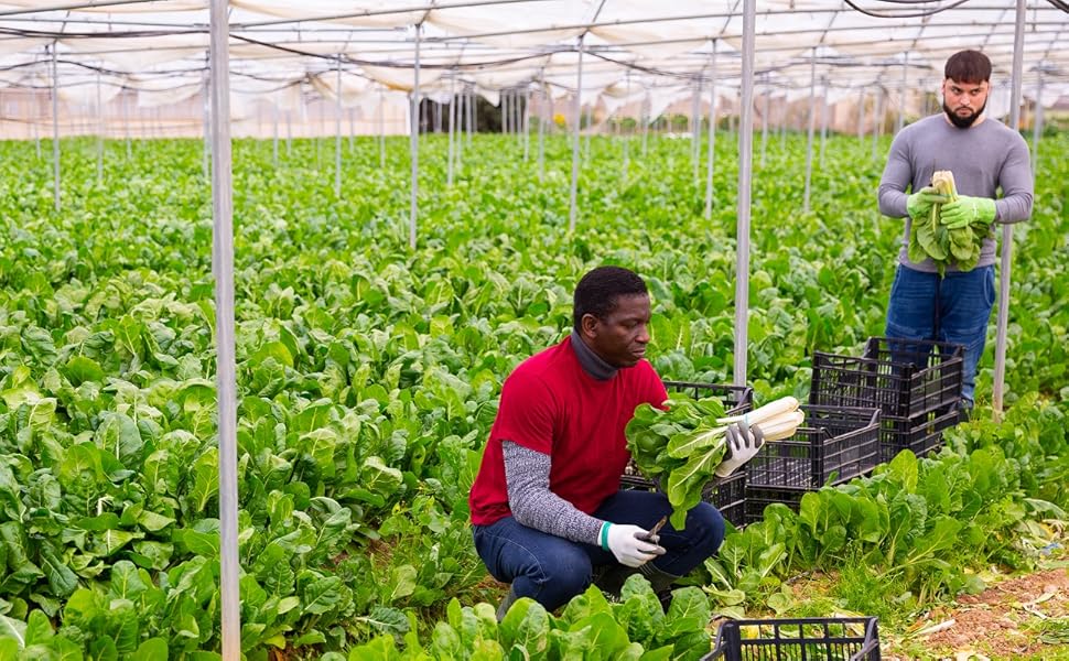 netting for plants