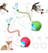 DINGLIAN 2 Pack Interactive Cat Toy Balls for Indoor with Elastic Mesh Tail | Automatic Activate ...