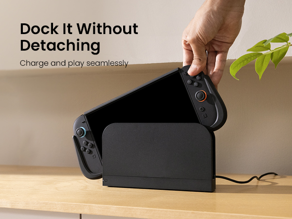 switch 2 dockable case