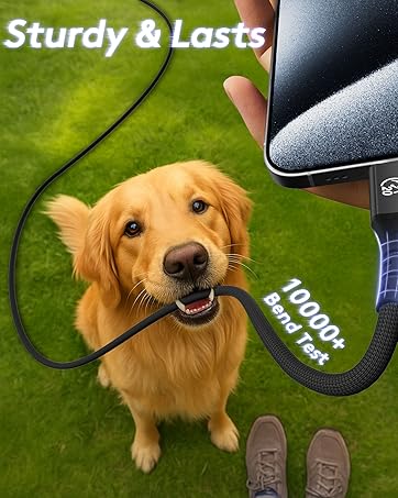 sturdy lasts usb c to usb c cable