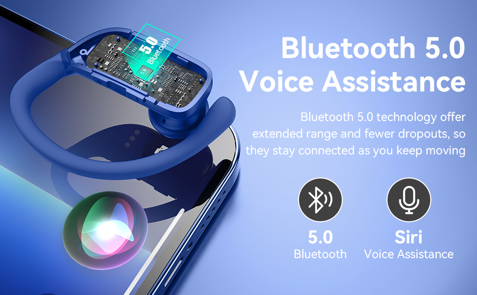 Bluetooth 5.0 & Voice Assistant