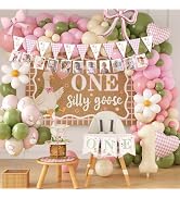 146Pcs One Silly Goose Birthday Decorations Girl, All-In-1 | Baby 1st Birthday Daisy Pink Sage Gr...