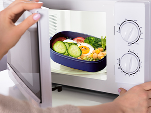 lunch box for adults