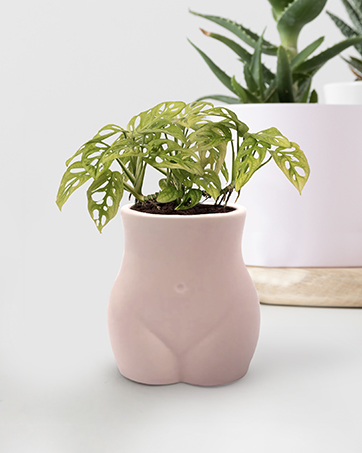 body vase shaped cheeky sculpture planter pot for flowers plant bathroom gloves base roots flower