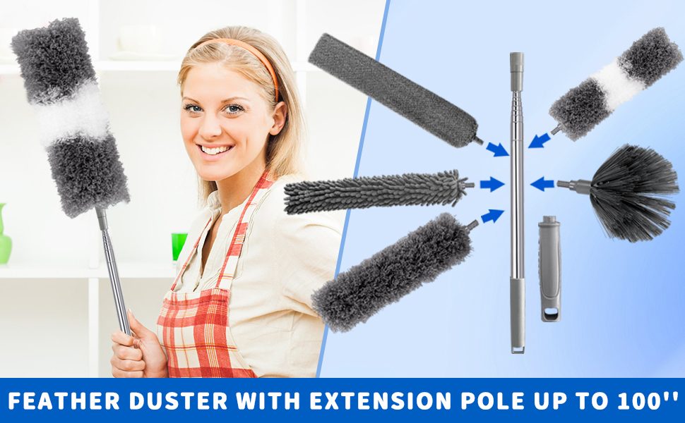 duster with extension pole