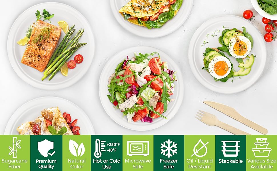 sugarcane paper plates