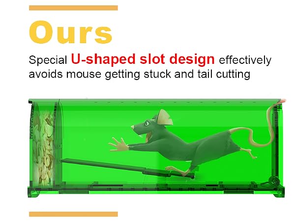Mouse Traps