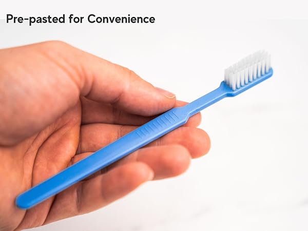 Prepasted Disposable Toothbrushes