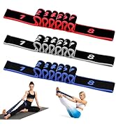 Fitness Resistance Bands with Handles, 2026 Upgrade Fitness Resistance Band for Stretching and Yo...
