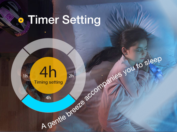 Timer