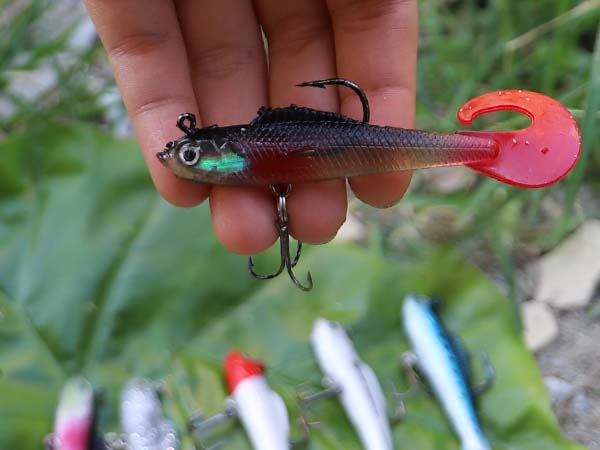 soft bait lure