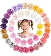 DeD 40PCS 2" Chiffon Flower Hair Bows Clips Tiny Hair Clips Fine Hair for Girls Infants Toddlers ...