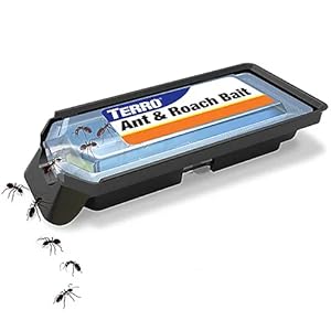 TERRO Ant & Roach Bait liquid bait eliminates ants