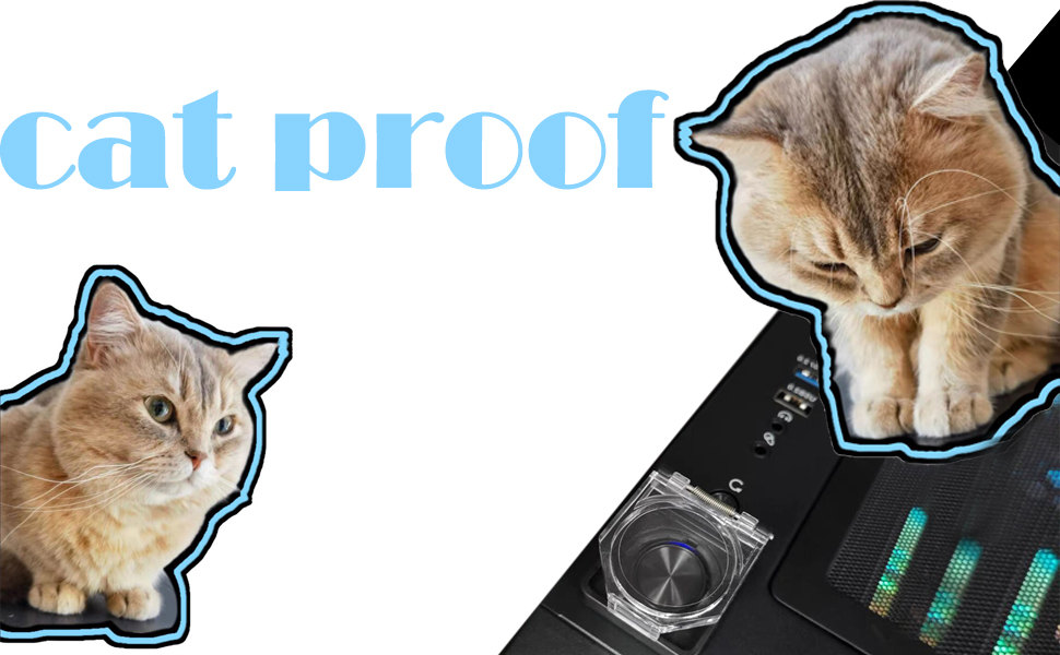 cat proof