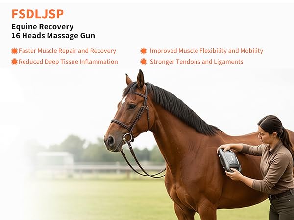FSDLJSP Equine Recovery 16 Heads Massage Gun