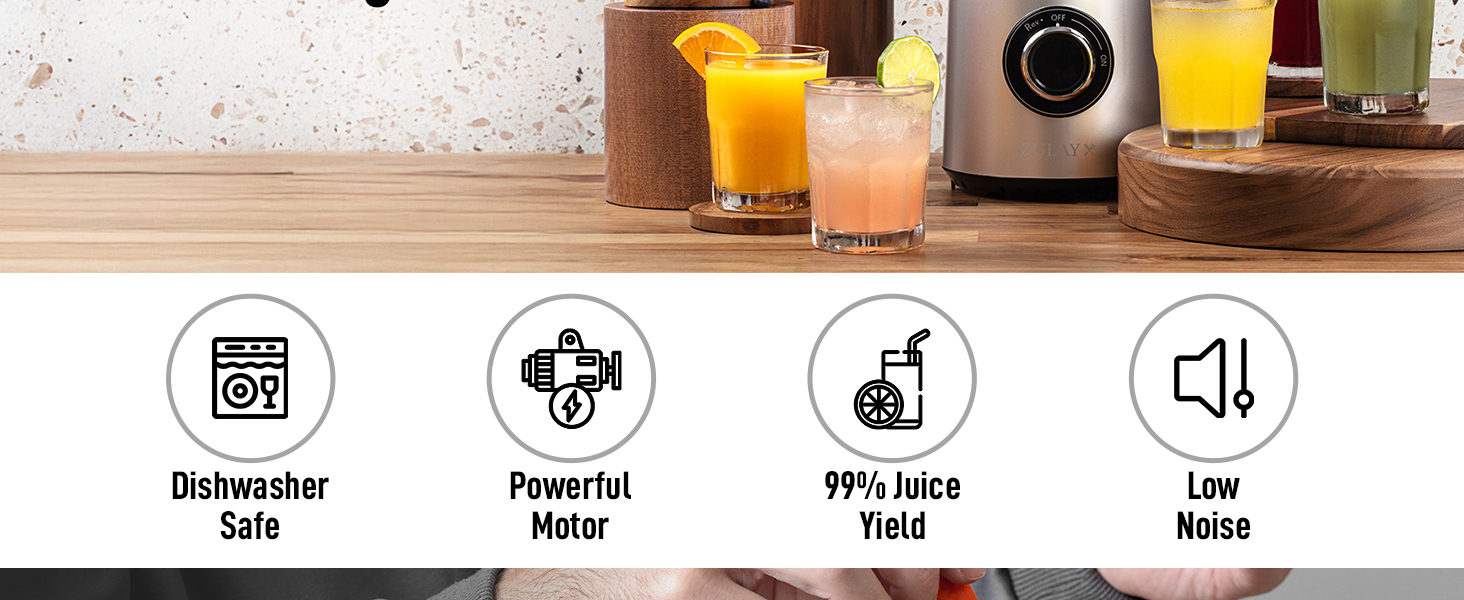 Masticating Juicer