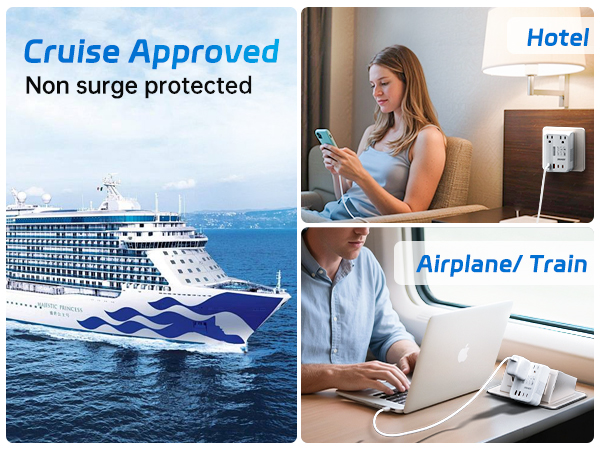 voltage converter 220 to 110