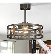Passky 20 Inch Farmhouse Caged Ceiling Fans with Lights and Remote, Black Downrod Mount Bladeless...