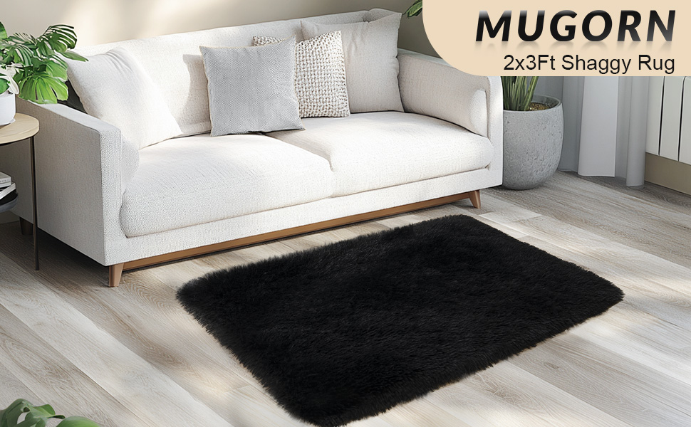 Black rug-2x3