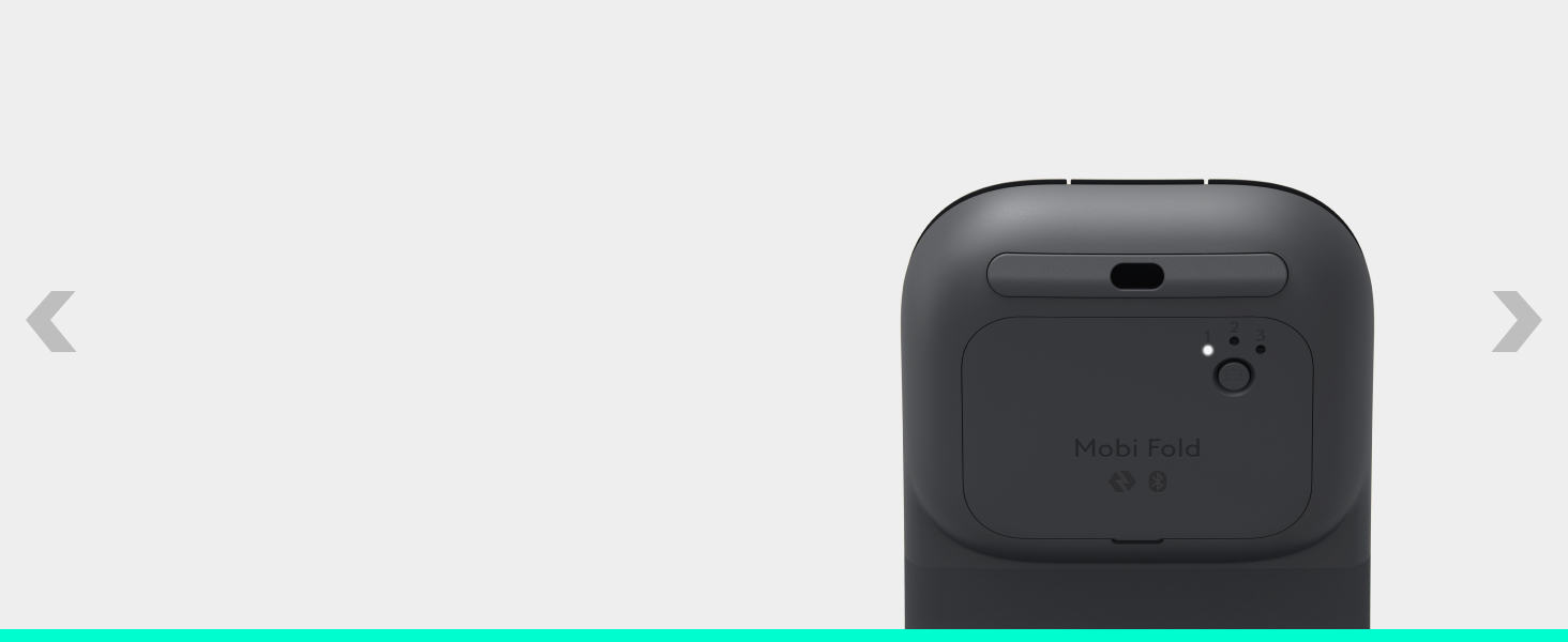 a back of a mouse