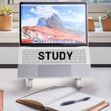 Study