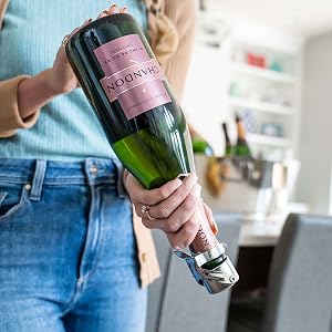 champagne saver leak proof bottle vacuum sealer female kitchen chandon upside down